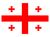 Erovnuli Liga crest