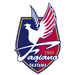 Fagiano Okayama FC